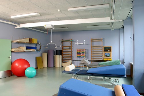 Handi-Move - - In the gymnasium - Ceiling motor , Transverse rails