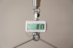 Digital scale